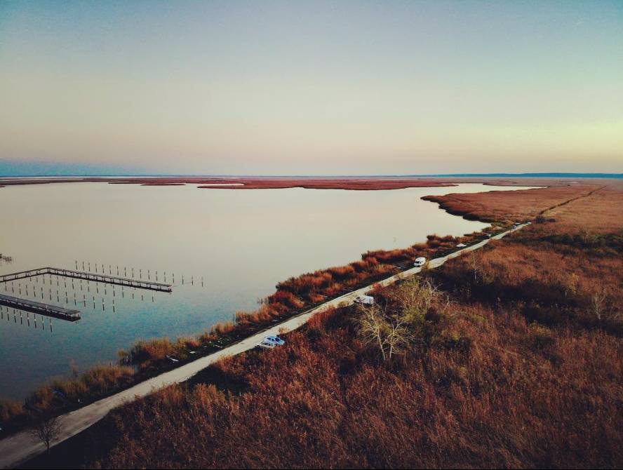 The Enchanting Fertő-Hanság National Park