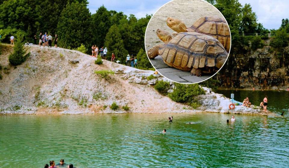 Nur 1 Stunde von Wien: Entdecke diesen Familien-Campingplatz im Burgenland mit Streichelzoo, über 15 Tierarten wie Kängurus oder Schildkröten, Hüpfburgen und eigenem Badesee mit Sandstrand für nur rund 10 Euro pro Besuch