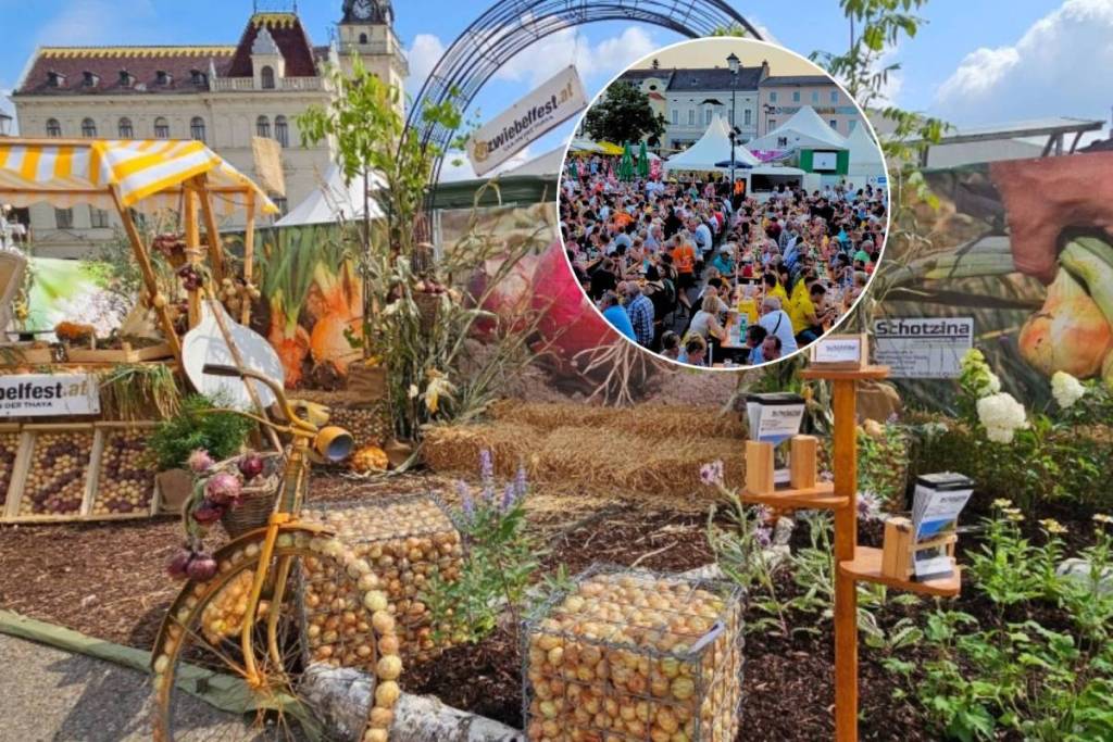 Nur knapp eine Stunde von Wien zu einzigartigem Erntefest, für das jährlich tausende Besucher anreisen: Entdecke dieses dreitägige Sommerfest im Weinviertel mit Musik, Kinderprogramm, Gastronomie und Gratis-Ausflügen