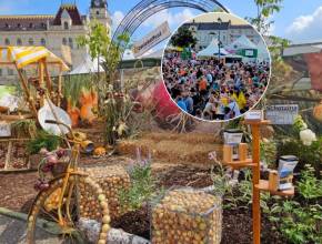 Nur knapp eine Stunde von Wien zu einzigartigem Erntefest, für das jährlich tausende Besucher anreisen: Entdecke dieses dreitägige Sommerfest im Weinviertel mit Musik, Kinderprogramm, Gastronomie und Gratis-Ausflügen