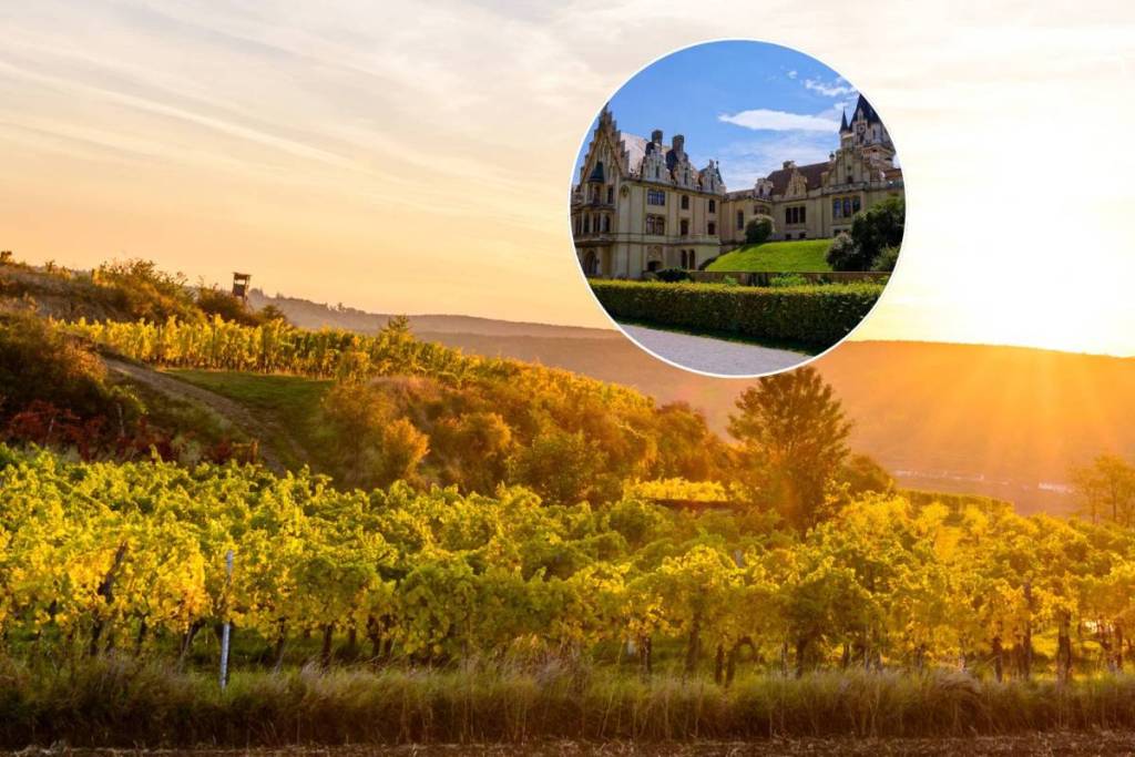 Just 60 minutes from Vienna: Discover this UNESCO Geopark with genuine gemstone sites, an extensive hiking network, and medieval castles in Austria’s oldest mountain landscape