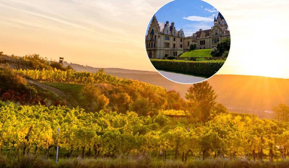 Just 60 minutes from Vienna: Discover this UNESCO Geopark with genuine gemstone sites, an extensive hiking network, and medieval castles in Austria’s oldest mountain landscape