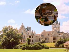 An nur 10 Abenden dieses Jahr: 1 Stunde von Wien öffnet dieses historische Schloss seine Tore für Weltklasse-Konzertklänge im verborgenen Schlosspark bei diesem Festival – und dieses Jahr ist etwas ganz besonders