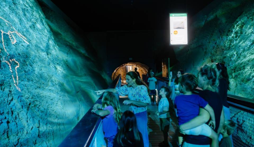 16,5 Millionen Jahre altes Naturdenkmal nur 30 Minuten von Wien: Entdeckt das größte fossile Austernriff der Welt in diesem Erlebnispark für die ganze Familie mit gewaltigem Urzeit-Riff, Sandstrand und Forschertrail