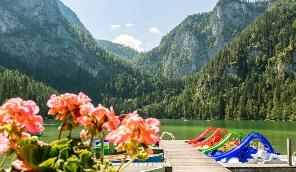 In rund 2,5 Stunden von Wien zu verstecktem 13 Hektar See in den Kalkalpen: In diesem Naturschutzgebiet ist das Seewasser auf Trinkwasserqualität  inklusive Liegewiese, Camping, Hochseilgarten und Bio-Gastronomie