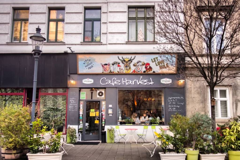 Café Harvest in the 2nd District