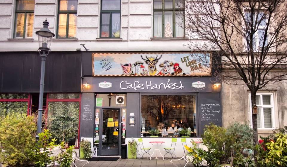 Der beste Brunch mitten in der Leopoldstadt? Warum dieses vegane Wohnzimmer-Bistro alle begeistert und zum verweilen einlädt
