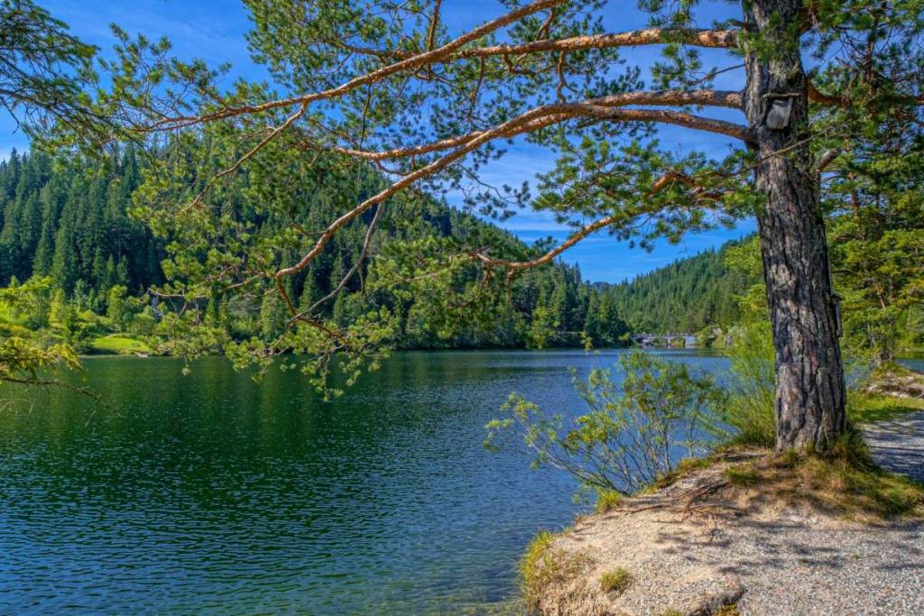 Just 120 minutes from Vienna, you’ll find a crystal-clear, incredibly idyllic lake and natural gem, hidden in a dense forest as an absolute haven of peace