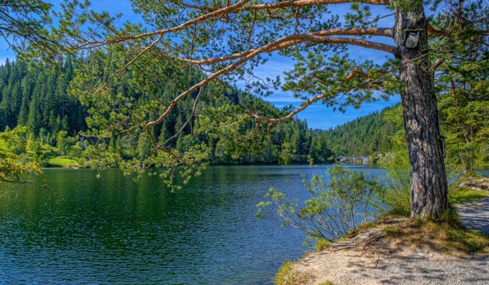 Nur 120 Minuten von Wien gelangt ihr zu einem kristallklaren, extrem idyllischen See und Naturjuwel, versteckt im dichtem Wald als absoluten Ruhepol
