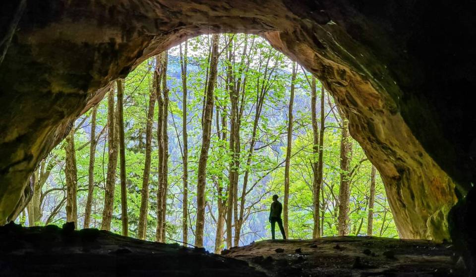 This legendary cave, considered one of Austria’s most important archaeological sites, is located 2 hours from Vienna
