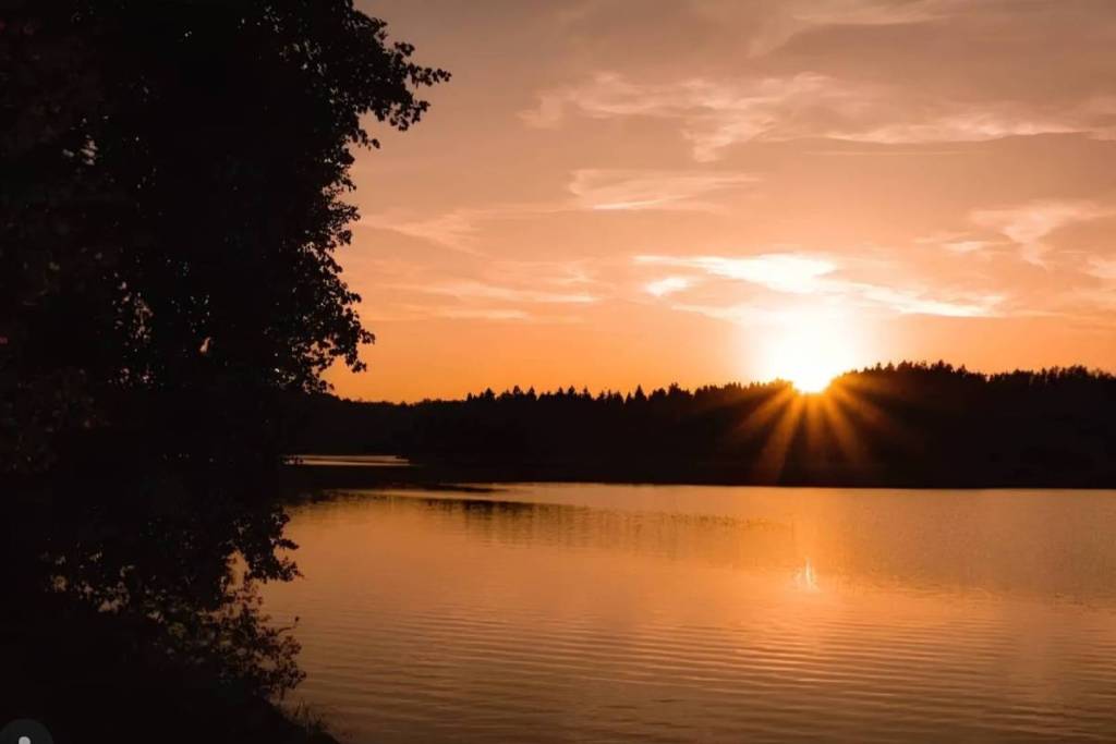 Discover the smallest reservoir in the Waldviertel, just under 1.5 hours from Vienna, with a depth of 14 meters: There’s even a castle ruin right next to this hidden forest lake