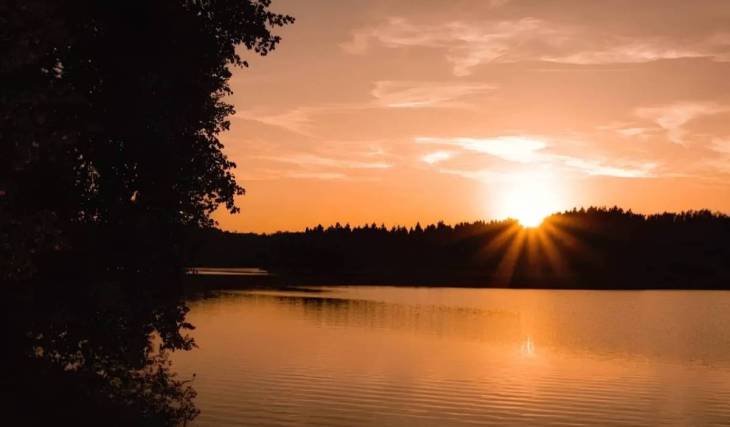Discover the smallest reservoir in the Waldviertel, just under 1.5 hours from Vienna, with a depth of 14 meters: There’s even a castle ruin right next to this hidden forest lake
