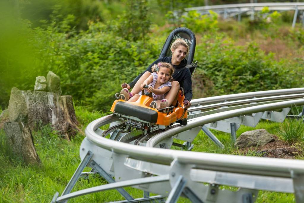 Nur eine Stunde von Wien jagst du auf einer 870 Meter langen Sommerrodelbahn mit bis zu 40 km/h rasant den Berg hinab