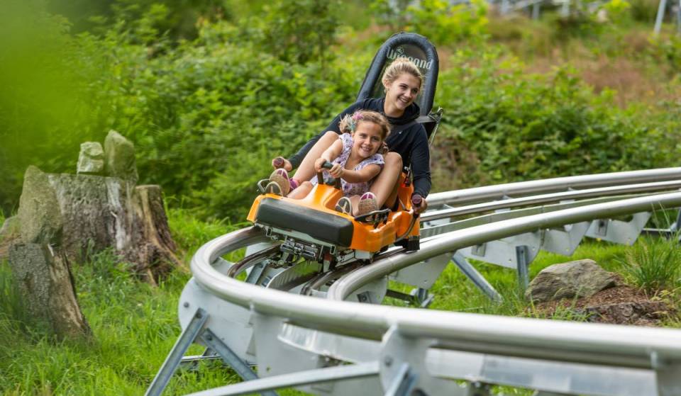 Just one hour from Vienna, you’ll race down the mountain at speeds of up to 40 km/h on an 870-meter-long summer toboggan run