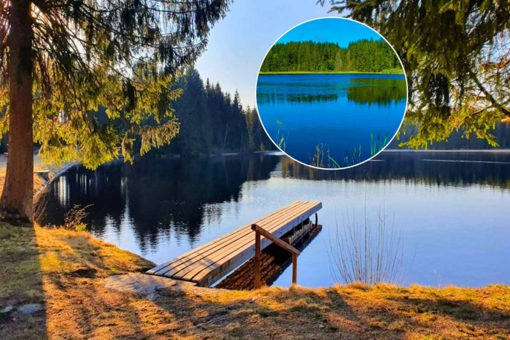 Just under 2 hours from Vienna to Scandinavia—a hidden gem for nature lovers: Discover this hidden, authentic bog swimming pond with magical black water in the middle of the forest, complete with SUP rentals and a lakeside kiosk