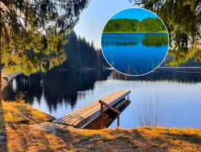 In knapp 2 Stunden von Wien zu  Skandinavien-Geheimtipp für Naturliebhaber: Entdecke diesen versteckten echten Moorbadeteich mit magischem schwarzen Wasser mitten im Wald mit SUP-Verleih und Seekiosk
