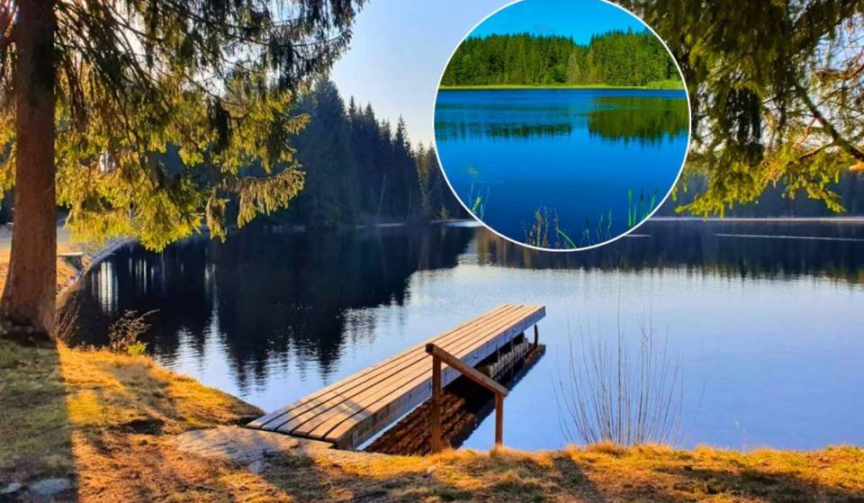 In knapp 2 Stunden von Wien zu  Skandinavien-Geheimtipp für Naturliebhaber: Entdecke diesen versteckten echten Moorbadeteich mit magischem schwarzen Wasser mitten im Wald mit SUP-Verleih und Seekiosk