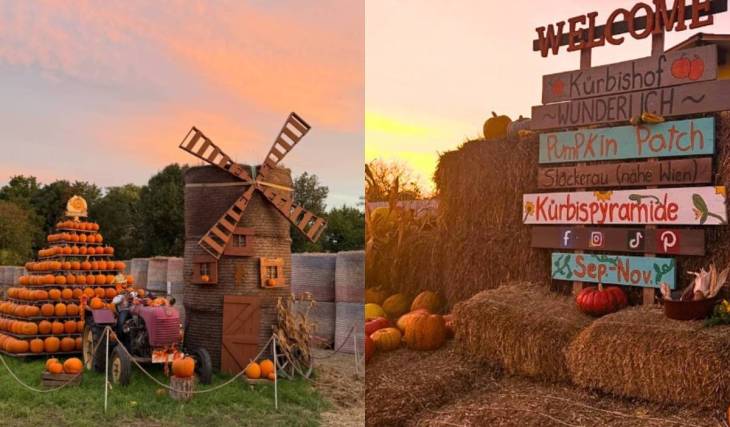 Open for just a few weeks: Experience the region’s largest pumpkin farm—just 45 minutes from Vienna—with around 120 pumpkin varieties and a “Gilmore Girls” vibe to take home with you.