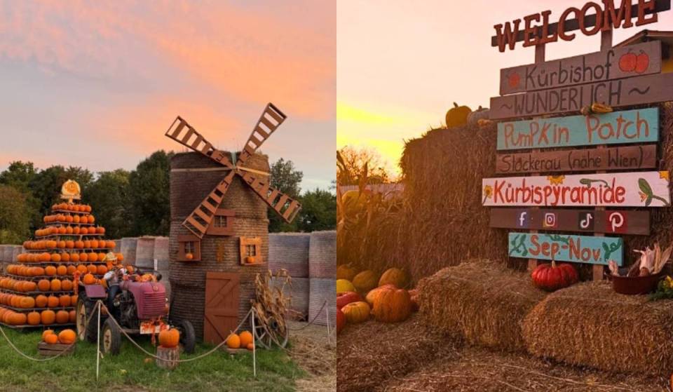 Open for just a few weeks: Experience the region’s largest pumpkin farm—just 45 minutes from Vienna—with around 120 pumpkin varieties and a “Gilmore Girls” vibe to take home with you.