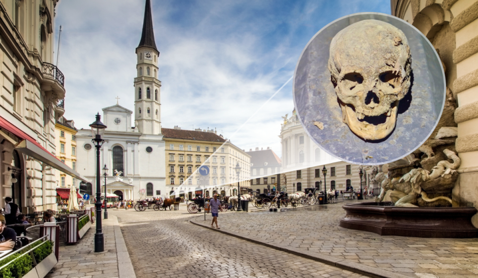 Beneath this magnificent Viennese building lies a centuries-old underworld containing over 4,000 skeletons and extremely well-preserved mummies, which you can visit