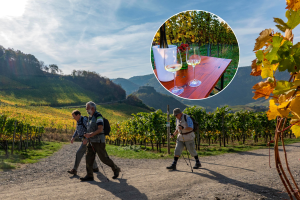 Vienna Wine Hiking Days 2026: Find all the info on routes, wine taverns, and highlights in one place