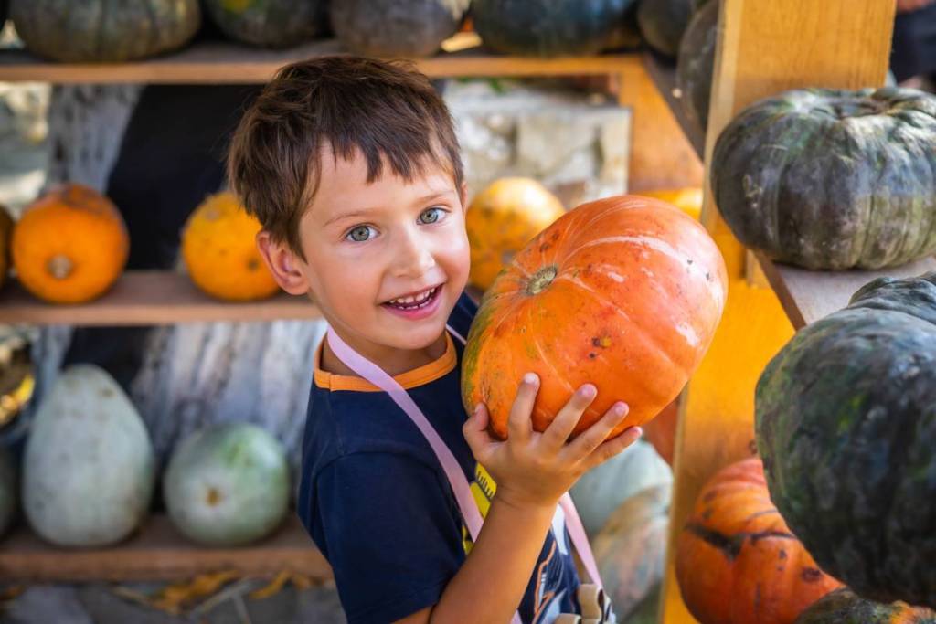Im Oktober findet das Kürbisfest am Himmel statt