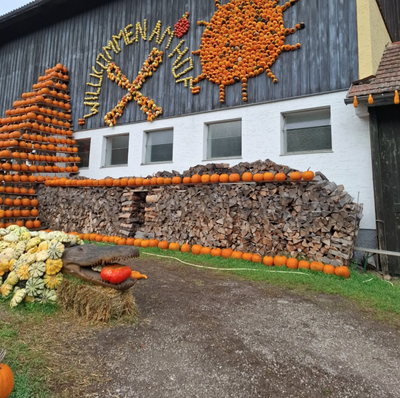 Im Herbst ist der Kürbishof vom Franzlbauer ein beliebtes Ausflugsziel