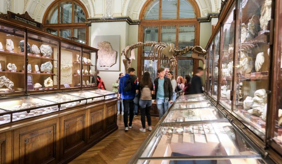 Lange Nacht der Museen in Wien: Für nur 19€ habt ihr die ganze Nacht Zugang zu unzähligen Museen