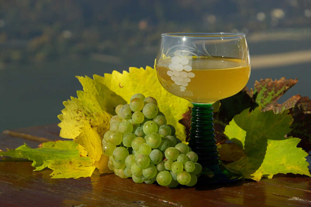 Discover the biggest wine festival to wrap up the season on the outskirts of the city in Vienna’s most beautiful wine cellar alleys
