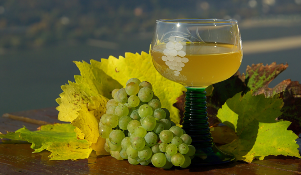 Entdecke das größte Weinfest zum Saisonfinale am Stadtrand in den schönsten Kellergassen Wiens