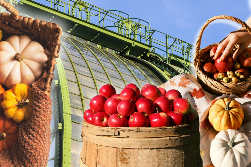 Dieses kostenlose Herbst-Festival mit praktischen Tipps von Profis für Gartenfans, findet bald zum 10. Mal statt