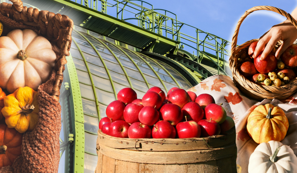 Dieses kostenlose Herbst-Festival mit praktischen Tipps von Profis für Gartenfans, findet bald zum 10. Mal statt