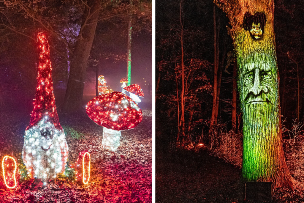 Illumina Light installations