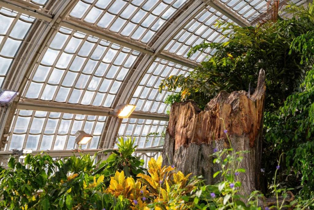 Neues Regenwaldhaus im UNESCO- Tiergarten Schönbrunn verschiebt Eröffnung auf 2027 aus diesem Grund