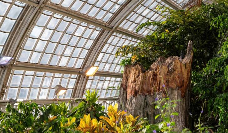 Neues Regenwaldhaus im UNESCO- Tiergarten Schönbrunn verschiebt Eröffnung auf 2027 aus diesem Grund