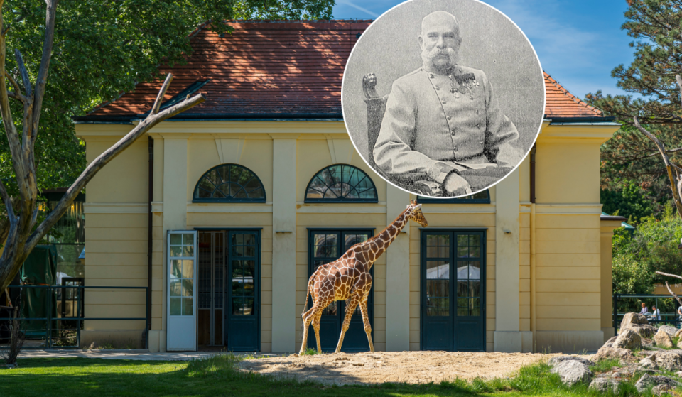 Ältester Zoo der Welt und Unesco-Weltkulturerbe: Vor 270 Jahren durfte hier nur die Kaiserfamilie flanieren – warum?