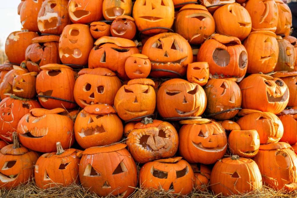 Das Kürbisfest am Himmel ist ein beliebtes in den Herbstferien