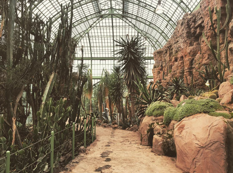 Das Wüstenhaus im Tiergarten Schönbrunn ist ein schönes Ausflugsziel im Herbst